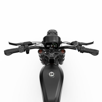 F20 Inch Electric Fat Tires 4.0