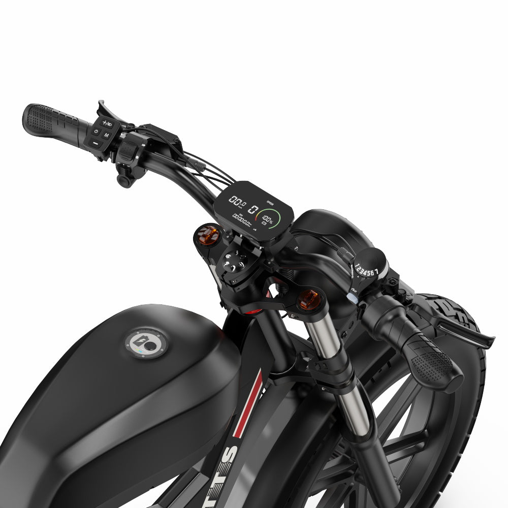 F20 Inch Electric Fat Tires 4.0