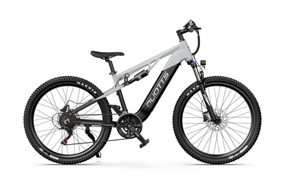 DUOTTS E29 Electric Bike