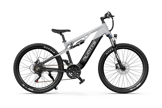 DUOTTS E29 Electric Bike