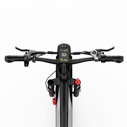 F26 Inch Electric Dual Motor - Fat Tires 4.0