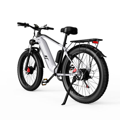 F26 Inch Electric Dual Motor - Fat Tires 4.0