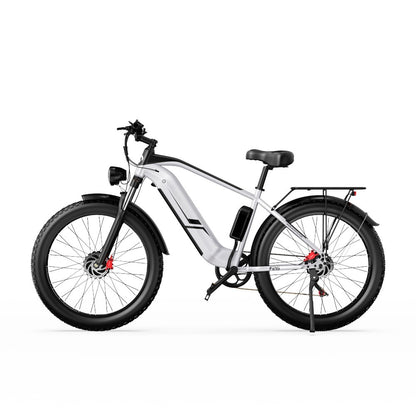 F26 Inch Electric Dual Motor - Fat Tires 4.0