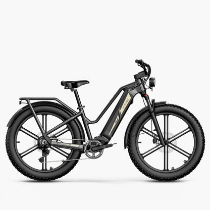 Fiido Titan Fat Tire
