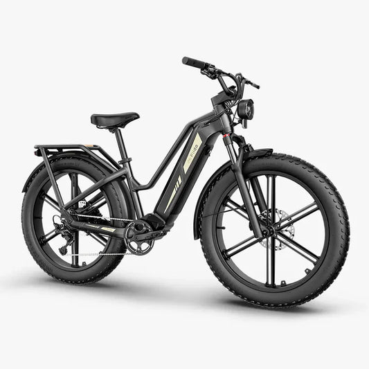 Fiido Titan Fat Tire
