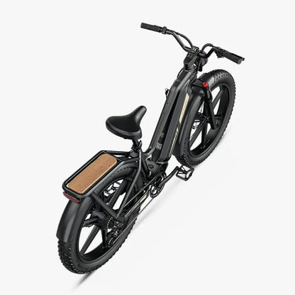 Fiido Titan Fat Tire