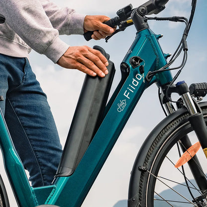 Fiido C11 City E-Bike
