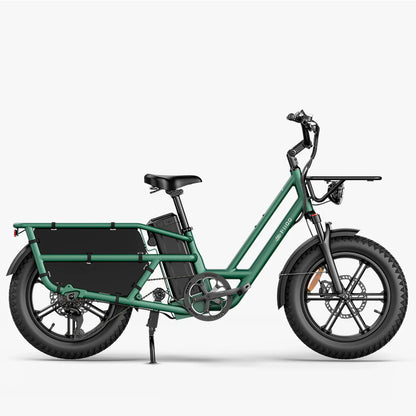 Fiido T2 Electric Cargo Bike