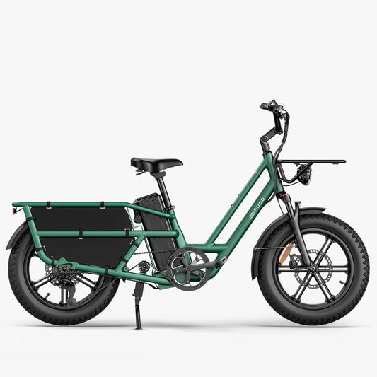 Fiido T2 Electric Cargo Bike