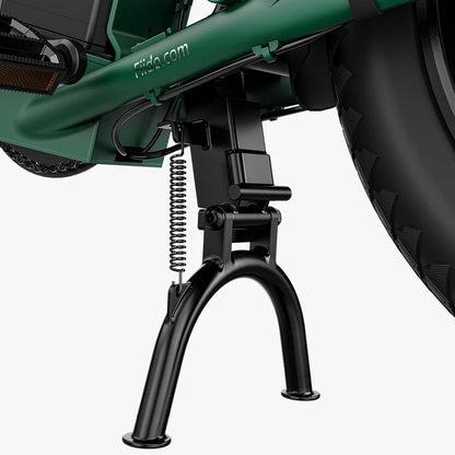 Fiido T2 Electric Cargo Bike