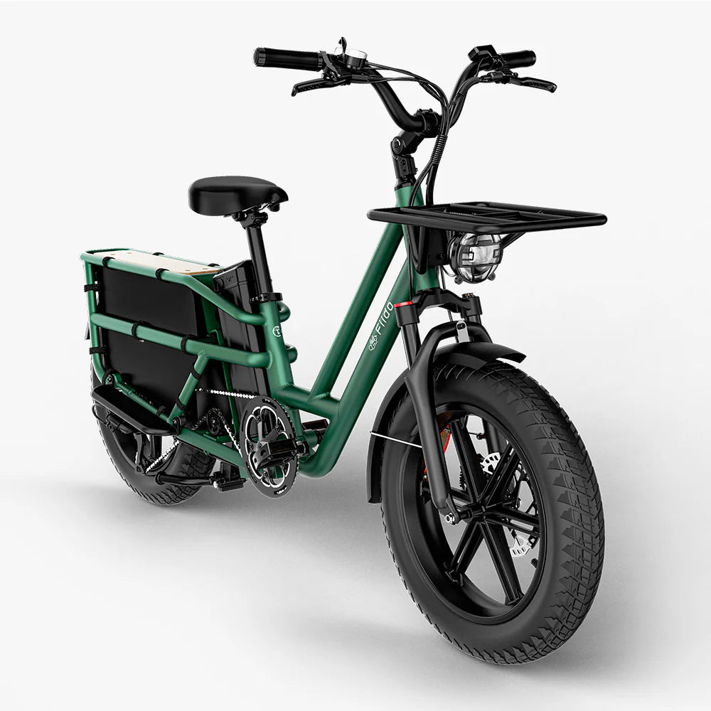Fiido T2 Electric Cargo Bike
