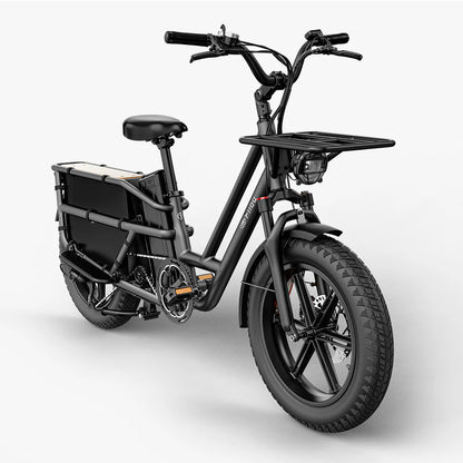Fiido T2 Electric Cargo Bike