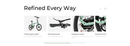 Engwe P20 Electric Bike