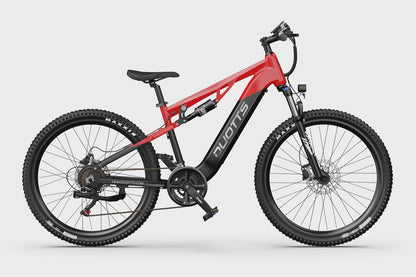 DUOTTS E29 Electric Bike